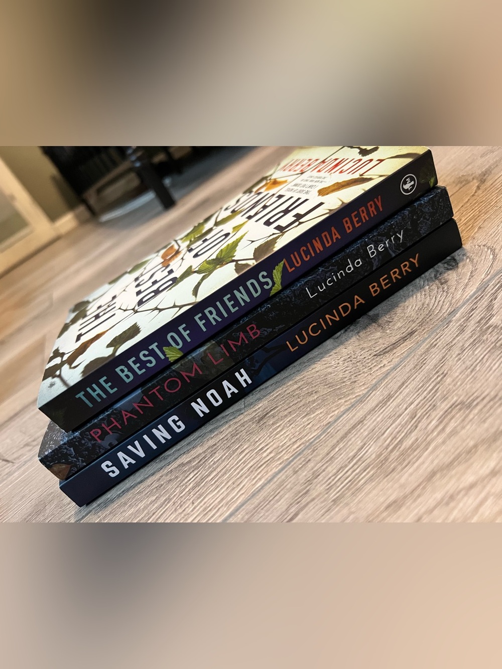 Lucinda Berry book set